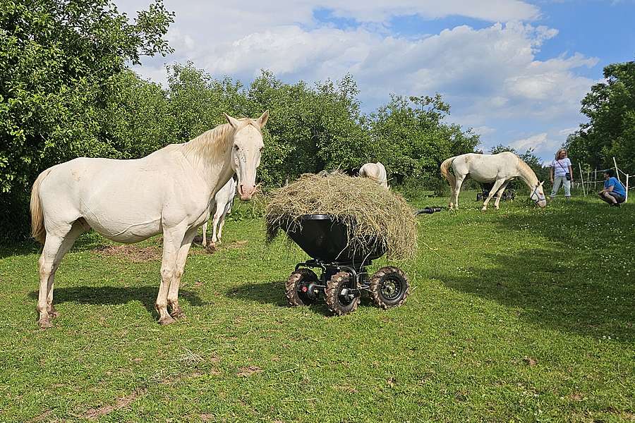 Ukázka použití Motúčka